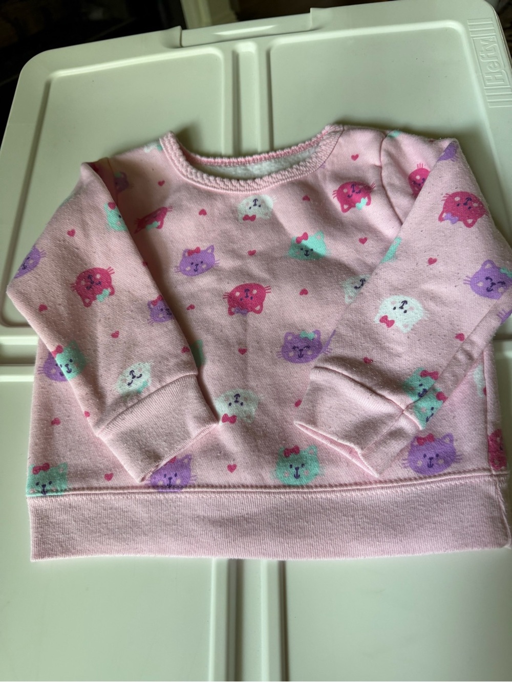 10/20 Garanimals Pink Crewneck Sweatshirt with Colorful Animal Faces
